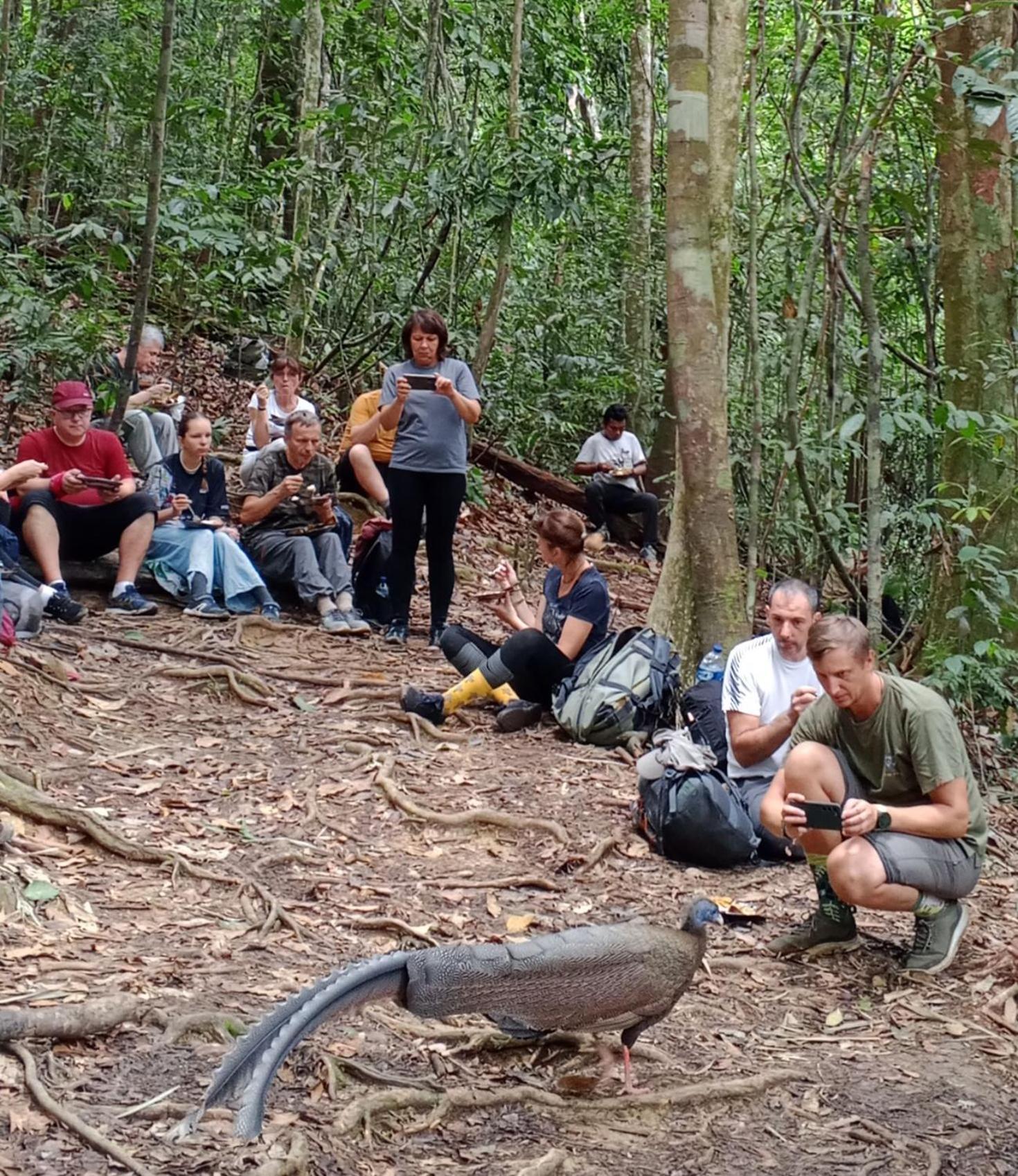 Sama Sama Homestay & Trekking Only Stay Here Book Trekking And Transport With Us Bukit Lawang Eksteriør bilde