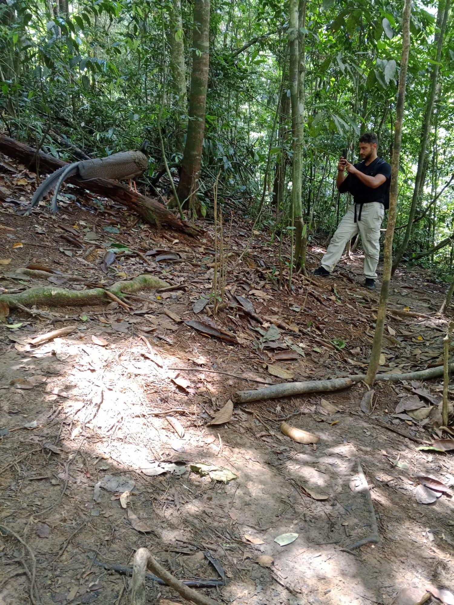 Sama Sama Homestay & Trekking Only Stay Here Book Trekking And Transport With Us Bukit Lawang Eksteriør bilde
