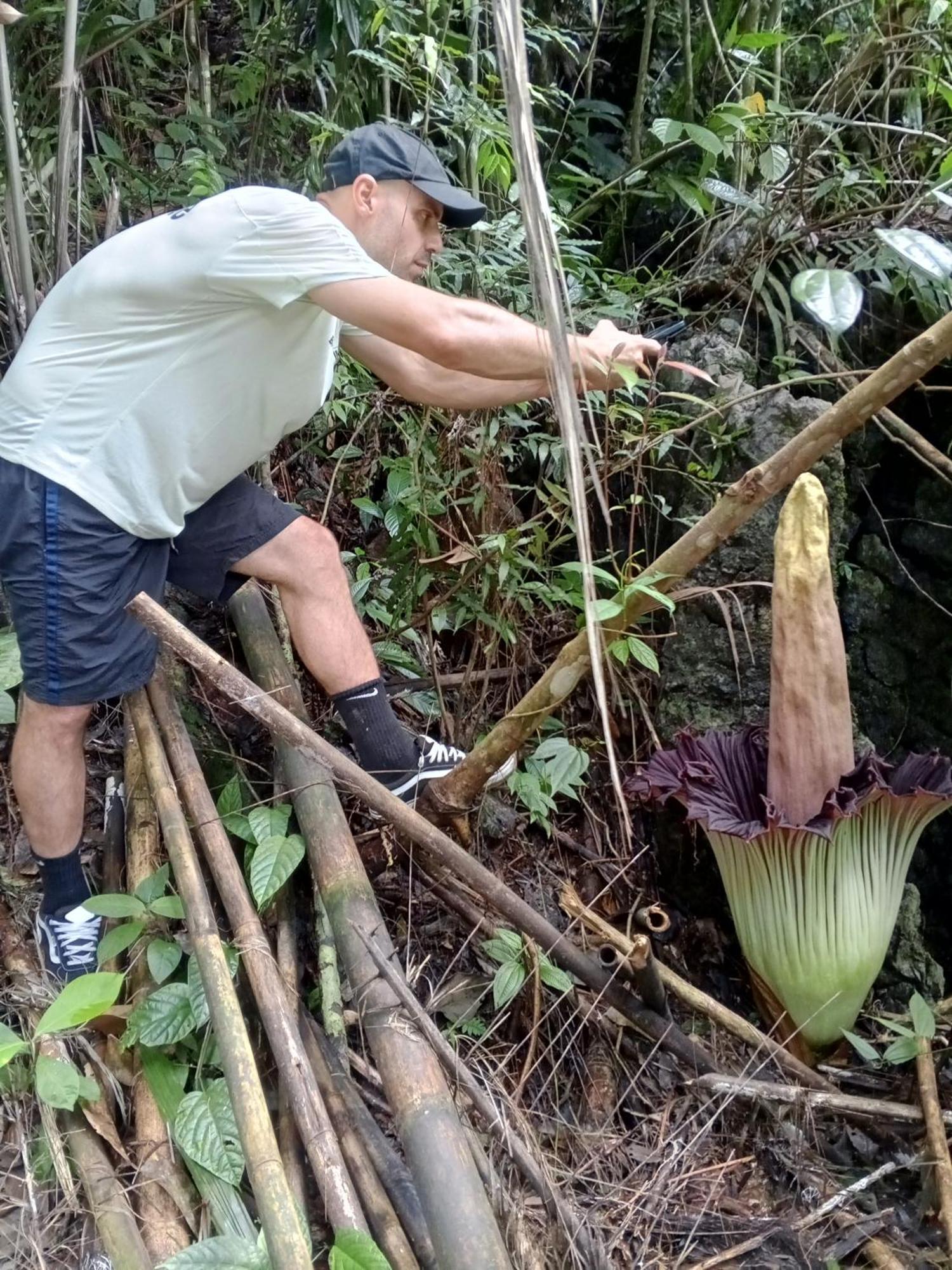 Sama Sama Homestay & Trekking Only Stay Here Book Trekking And Transport With Us Bukit Lawang Eksteriør bilde