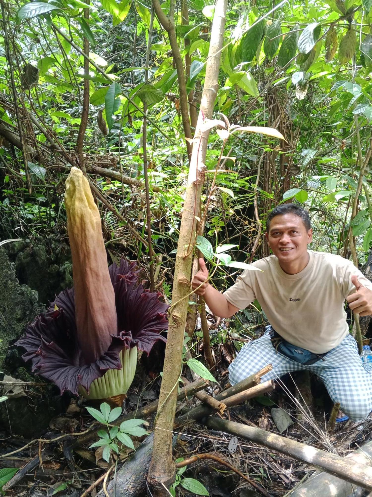 Sama Sama Homestay & Trekking Only Stay Here Book Trekking And Transport With Us Bukit Lawang Eksteriør bilde