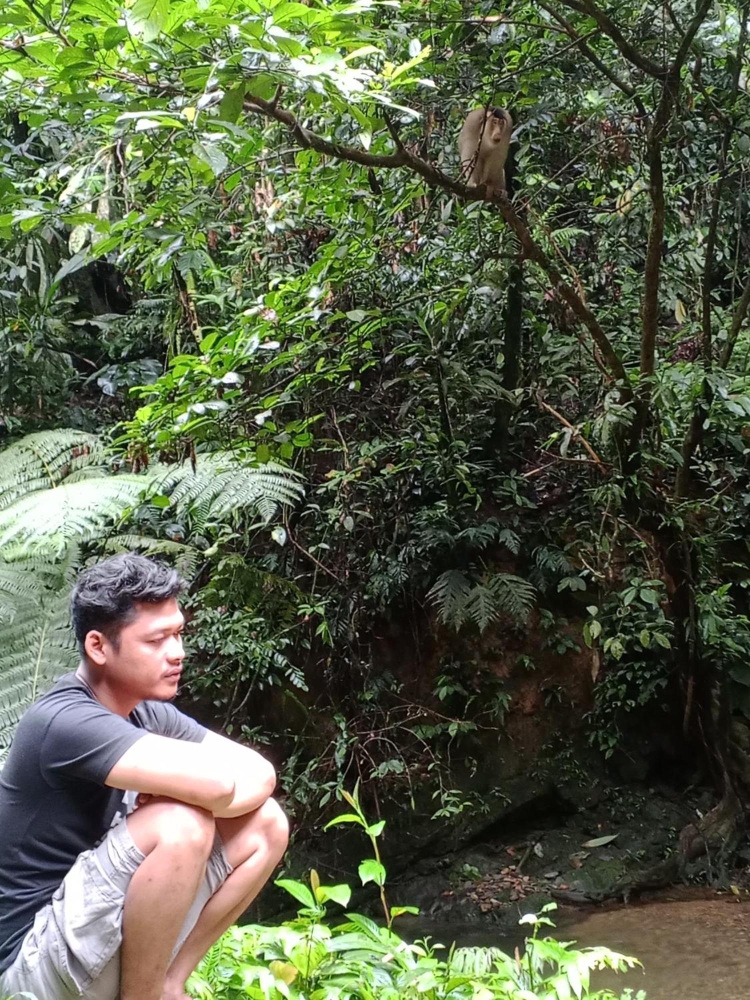 Sama Sama Homestay & Trekking Only Stay Here Book Trekking And Transport With Us Bukit Lawang Eksteriør bilde