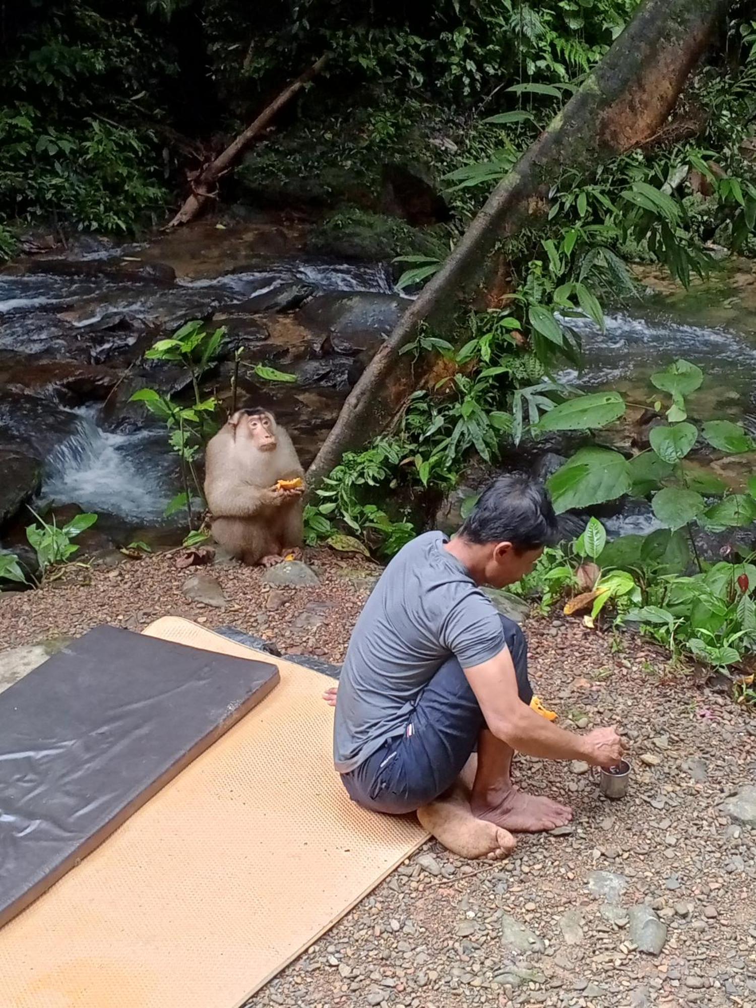 Sama Sama Homestay & Trekking Only Stay Here Book Trekking And Transport With Us Bukit Lawang Eksteriør bilde