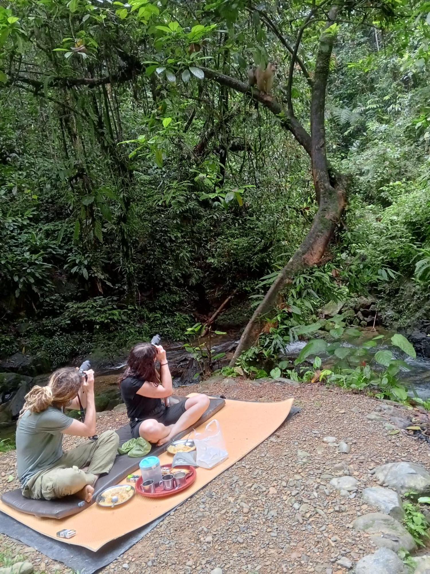 Sama Sama Homestay & Trekking Only Stay Here Book Trekking And Transport With Us Bukit Lawang Eksteriør bilde